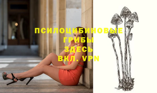 бошки Заволжье
