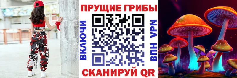 купить наркоту  Зерноград  Псилоцибиновые грибы ЛСД 