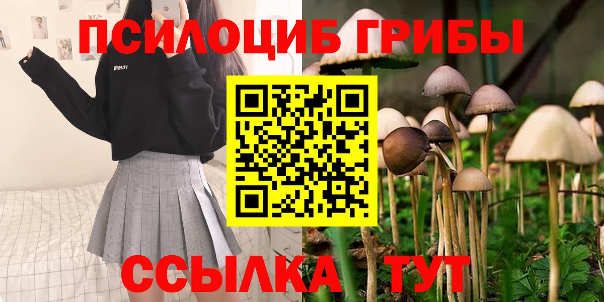 Зерноград  Галлюциногенные грибы MAGIC MUSHROOMS  Вход с VPN 