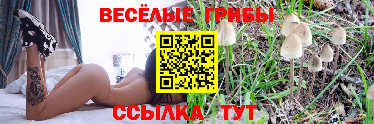Псилоцибиновые грибы GOLDEN TEACHER Зерноград